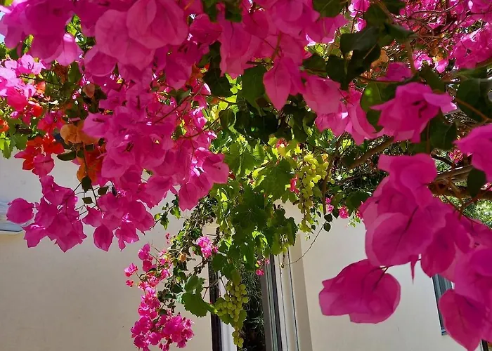 Casa Martino In Campagna Appartement