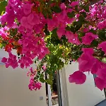 Casa Martino In Campagna Appartement