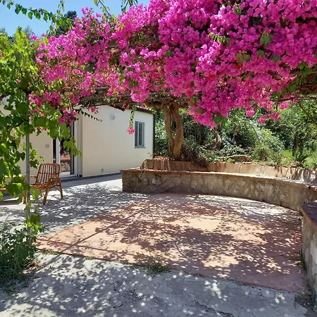 Casa Martino In Campagna *