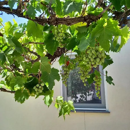 Casa Martino In Campagna 公寓 *