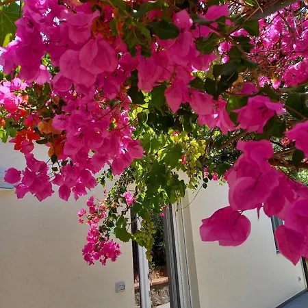 Casa Martino In Campagna 公寓