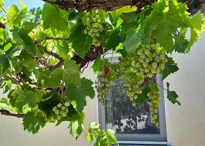 Casa Martino In Campagna Apartman *